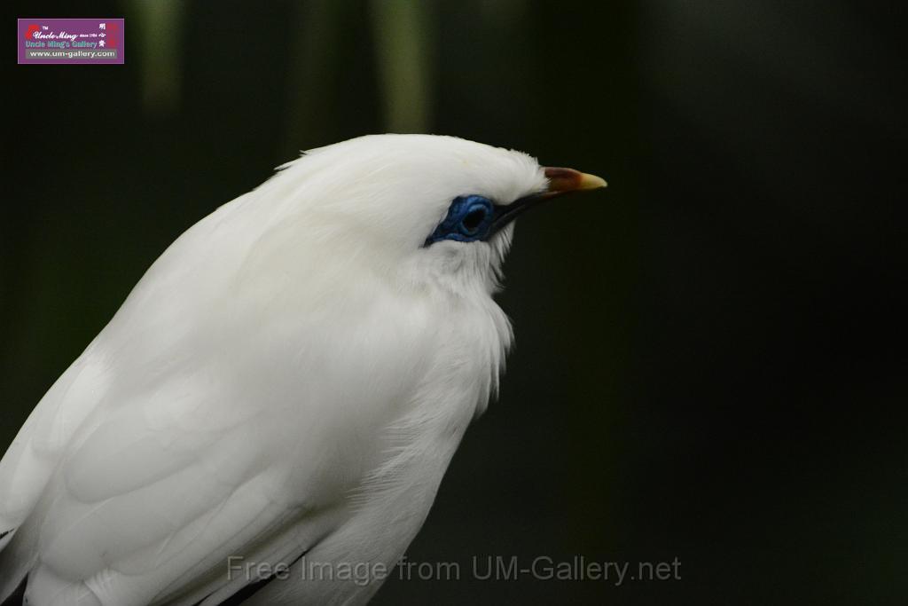 20180222hkpark_DSC_0884.JPG