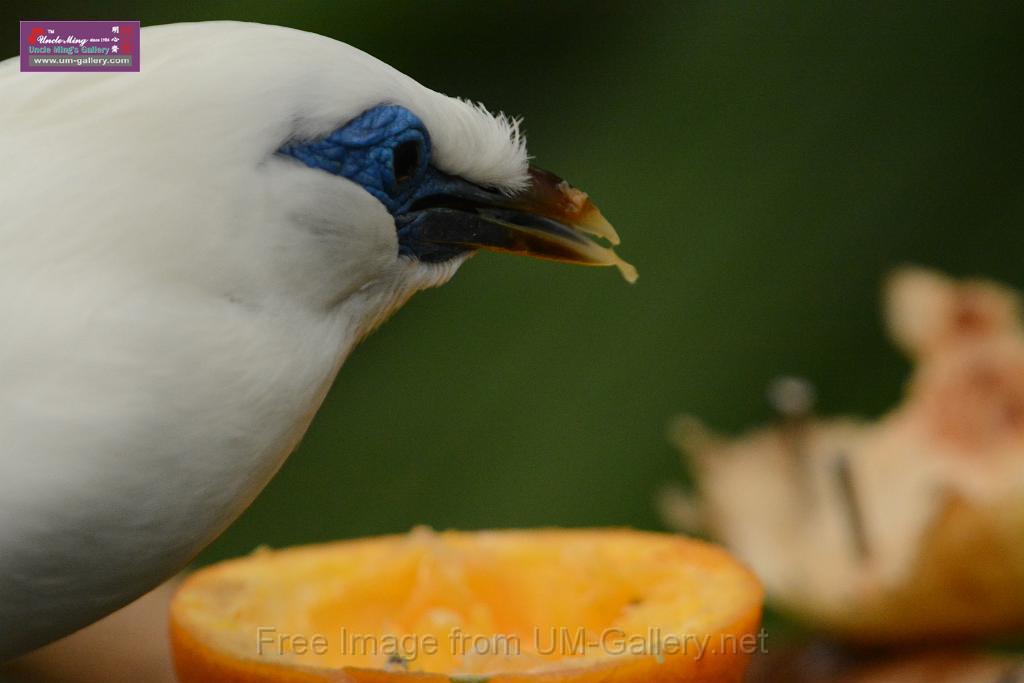 20180222hkpark_DSC_0905.JPG