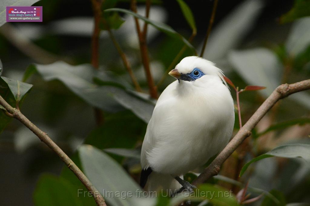 20180222hkpark_DSC_0915.JPG