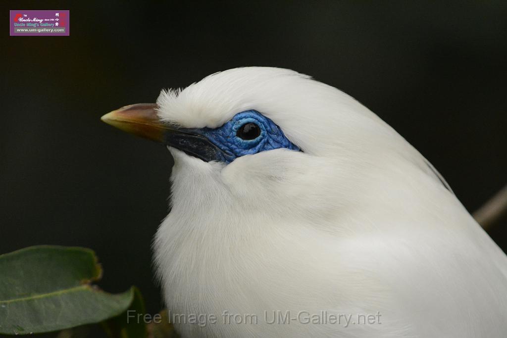 20180222hkpark_DSC_0937.JPG