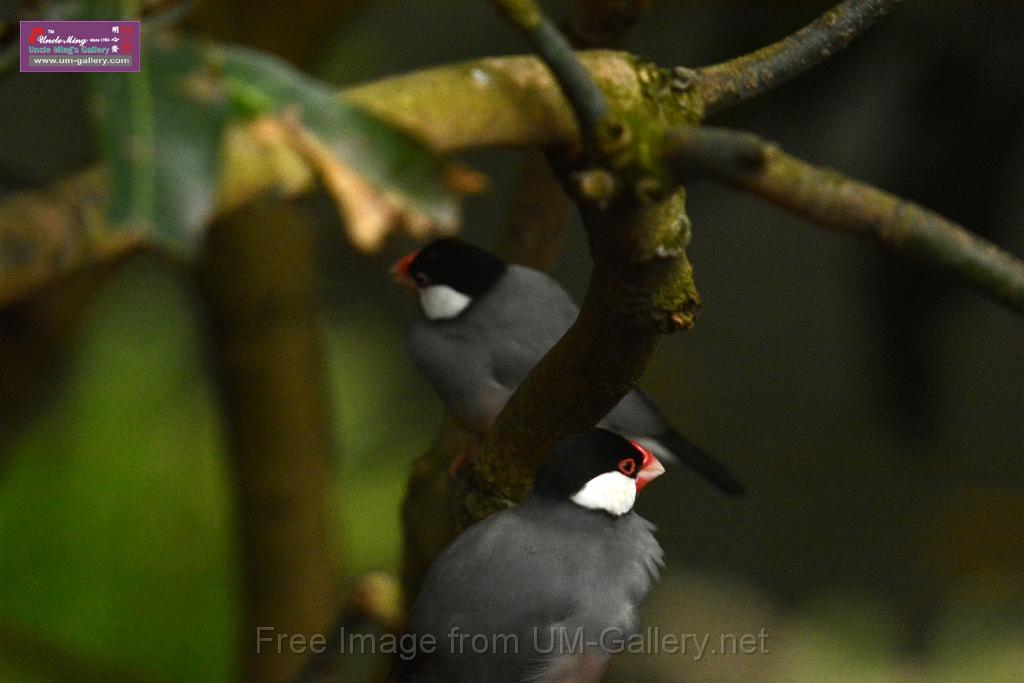 20180222hkpark_DSC_0949r.jpg