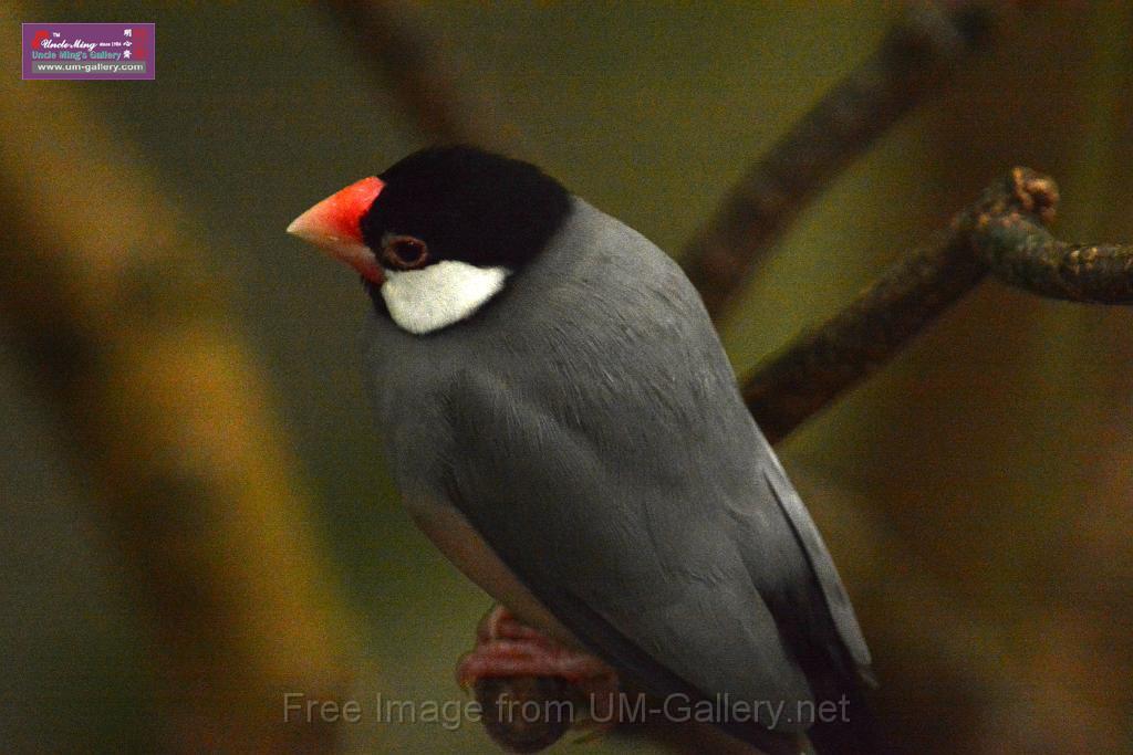 20180222hkpark_DSC_0957r.jpg