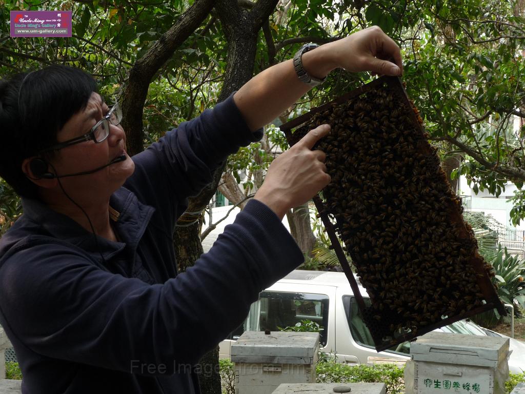 20130317my-fanling_P1130165.JPG