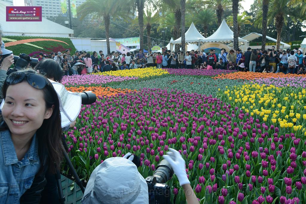 20150328sm-floral-exhibition_DSC_2023.JPG