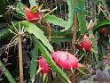DSCF0176