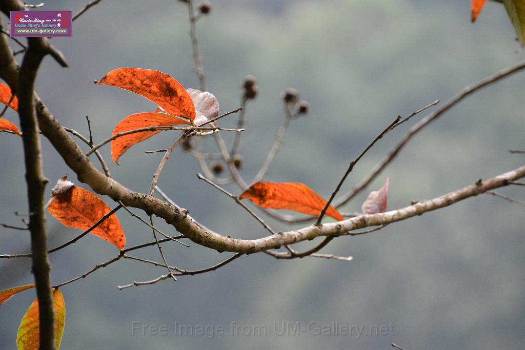 2019331sm-kadoorie-farmDSC_3980.JPG