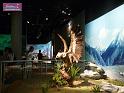 100406_eco_exhibition_P1070024