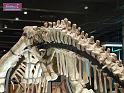 100627sci_museum_P1040668