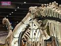 100627sci_museum_P1040669