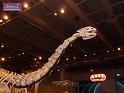 100627sci_museum_P1040679