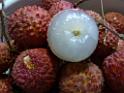 20130621fruit-laichee_P1130284