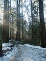 09jan_sm_vancouver_P1020148