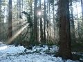 09jan_sm_vancouver_P1020151