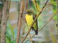 201309vol02-sf-singapore-DSCN6709