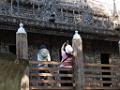 201812sf-burma-DSCN4329