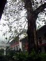 PICT0820