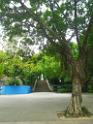 IMGP0013