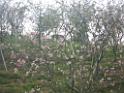 20150403sm-sz-IMGP0960