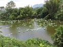 20170722sf-hezhou-DSCN5831
