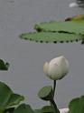 20170722sf-hezhou-DSCN5838