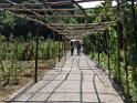 20170722sf-hezhou-DSCN6157