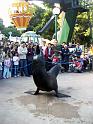 PICT2234