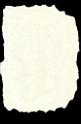paper-torn-beige